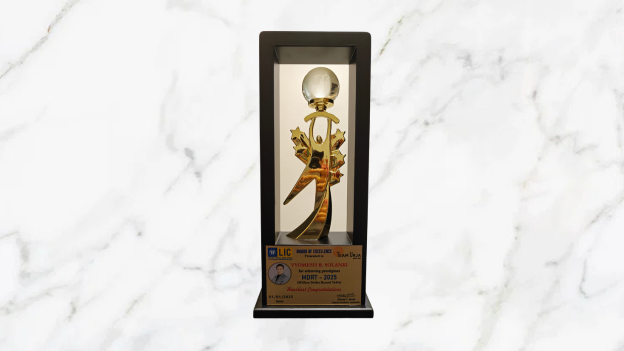 Award 28